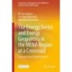 The Energy Sector and Energy Geopolitics in the MENA Region at a Crossroad: Towards a Great Transformation?