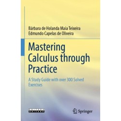 Mastering Calculus through Practice: A Study Guide with over 300 Solved Exercises