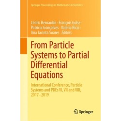 From Particle Systems to Partial Differential Equations: International Conference, Particle Systems and PDEs VI, VII and VIII, 2017-2019