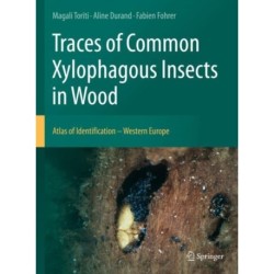 Traces of Common Xylophagous Insects in Wood: Atlas of Identification - Western Europe