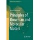 Principles of Brownian and Molecular Motors