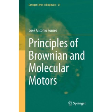 Principles of Brownian and Molecular Motors