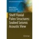 Shelf Fluvial Paleo Structures: Seabed Seismic Acoustic View