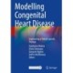 Modelling Congenital Heart Disease: Engineering a Patient-specific Therapy
