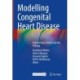 Modelling Congenital Heart Disease: Engineering a Patient-specific Therapy