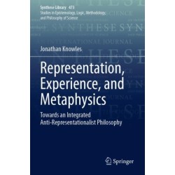 Representation, Experience, and Metaphysics: Towards an Integrated Anti-Representationalist Philosophy