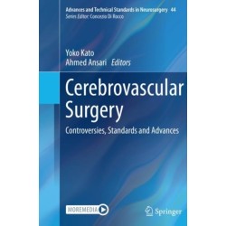 Cerebrovascular Surgery: Controversies, Standards and Advances