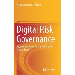 Digital Risk Governance: Security Strategies for the Public and Private Sectors
