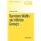 Random Walks on Infinite Groups