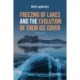 Freezing of Lakes and the Evolution of Their Ice Cover