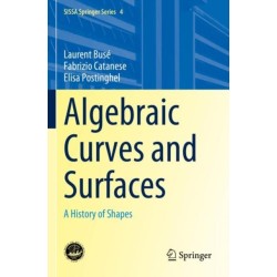 Algebraic Curves and Surfaces: A History of Shapes