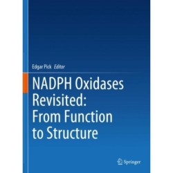 NADPH Oxidases Revisited: From Function to Structure
