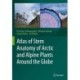 Atlas of Stem Anatomy of Arctic and Alpine Plants Around the Globe
