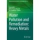 Water Pollution and Remediation: Heavy Metals