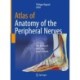 Atlas of Anatomy of the peripheral nerves: The Nerves of the Limbs – Expert Edition