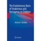 The Evolutionary Basis of Strabismus and Nystagmus in Children
