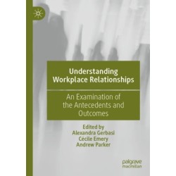 Understanding Workplace Relationships: An Examination of the Antecedents and Outcomes