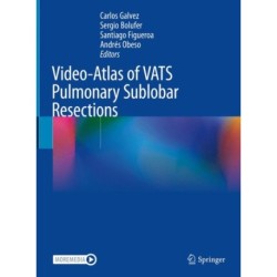 Video-Atlas of VATS Pulmonary Sublobar Resections