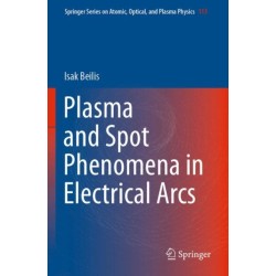 Plasma and Spot Phenomena in Electrical Arcs
