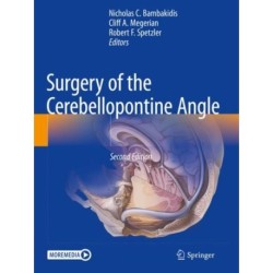 Surgery of the Cerebellopontine Angle