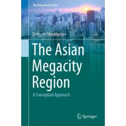 The Asian Megacity Region: A Conceptual Approach