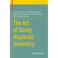 The Art of Doing Algebraic Geometry