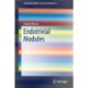 Endotrivial Modules