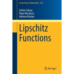 Lipschitz Functions