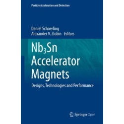 Nb3Sn Accelerator Magnets: Designs, Technologies and Performance