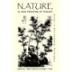 Nature in Asian Traditions of Thought: Essays in Environmental Philosophy