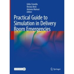 Practical Guide to Simulation in Delivery Room Emergencies