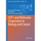 HSF1 and Molecular Chaperones in Biology and Cancer