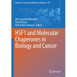HSF1 and Molecular Chaperones in Biology and Cancer