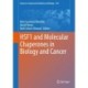 HSF1 and Molecular Chaperones in Biology and Cancer