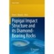 Popigai Impact Structure and its Diamond-Bearing Rocks