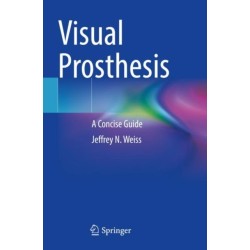 Visual Prosthesis: A Concise Guide