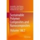 Sustainable Polymer Composites and Nanocomposites