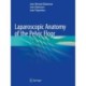Laparoscopic Anatomy of the Pelvic Floor