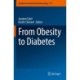 From Obesity to Diabetes