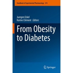 From Obesity to Diabetes