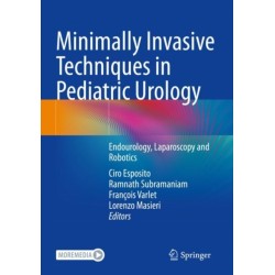 Minimally Invasive Techniques in Pediatric Urology: Endourology, Laparoscopy and Robotics