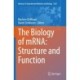 The Biology of mRNA: Structure and Function