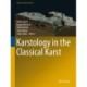 Karstology in the Classical Karst
