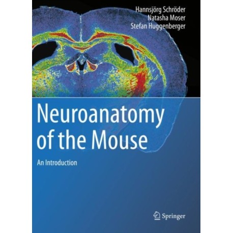 Neuroanatomy of the Mouse: An Introduction