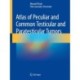 Atlas of Peculiar and Common Testicular and Paratesticular Tumors
