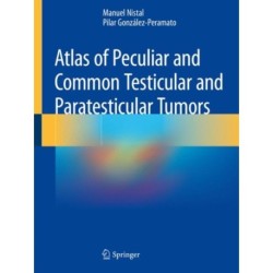 Atlas of Peculiar and Common Testicular and Paratesticular Tumors