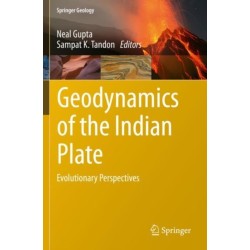 Geodynamics of the Indian Plate: Evolutionary Perspectives