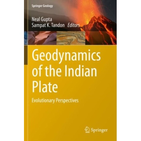 Geodynamics of the Indian Plate: Evolutionary Perspectives