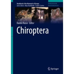 Chiroptera