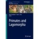 Primates and Lagomorpha